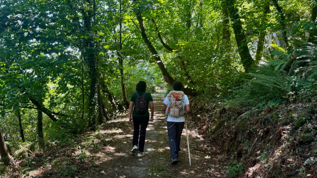 Senda Verde Puente de Arco - Tolivia (PR-AS 165)