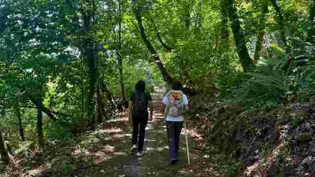 Senda Verde Puente de Arco - Tolivia (PR-AS 165)
