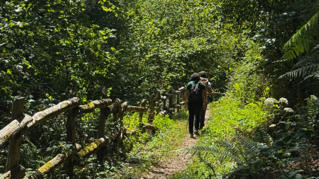 Ruta del Raigosu Soto de Llorío – El Cordal (PR-AS 53)