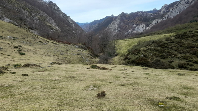 Ruta Pendones-Orlé (PR-AS 64)