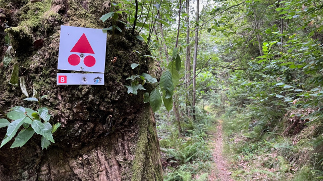 Coal Single Tracks Ruta 8 - Migalpiri