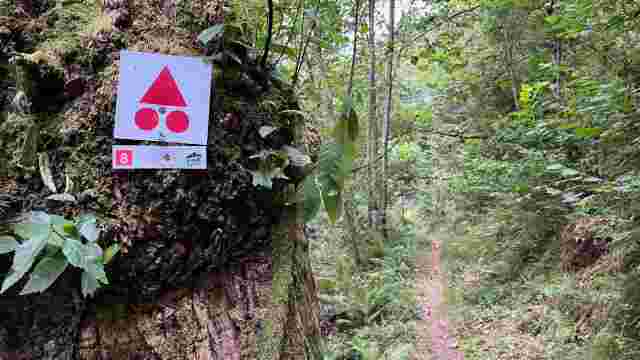 Coal Single Tracks Ruta 8 - Migalpiri