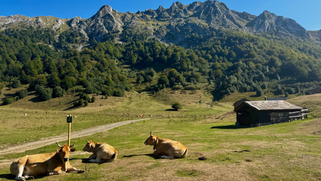 Vega de Brañagallones