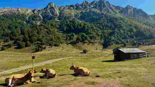 Vega de Brañagallones