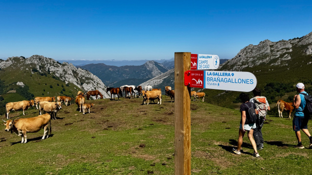 Sendero GR Montañas del Nalón: Etapa 4. Campo de Caso - Brañagallones