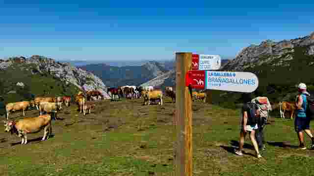 Sendero GR Montañas del Nalón: Etapa 4. Campo de Caso - Brañagallones