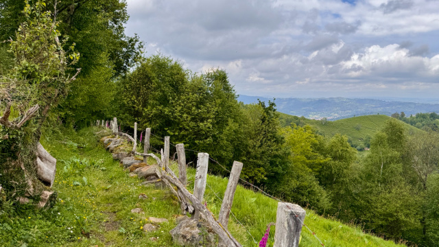 Senda Circular de Ciañu (PR.AS-41)