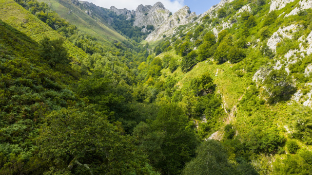 Foces del Raigosu (554 m)
