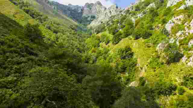Foces del Raigosu (554 m)