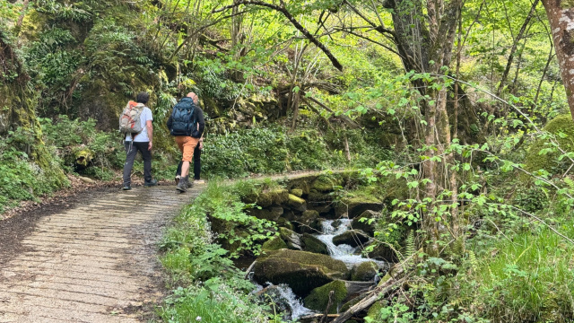 Sendero GR Montañas del Nalón: Etapa 3. Soto de Agues - Campo de Caso