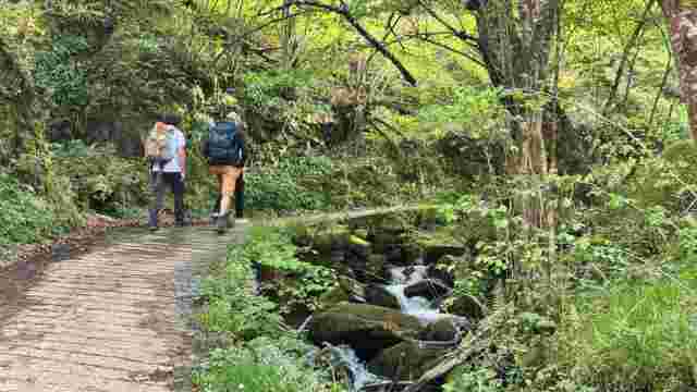 Sendero GR Montañas del Nalón: Etapa 3. Soto de Agues - Campo de Caso