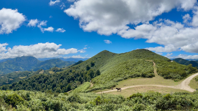 Campa Cimera