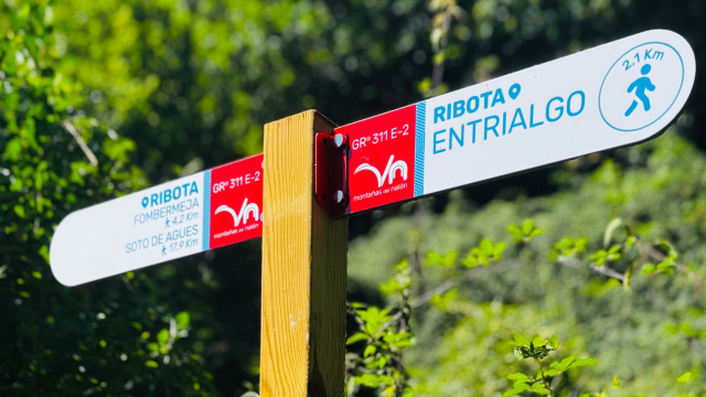 Ribota