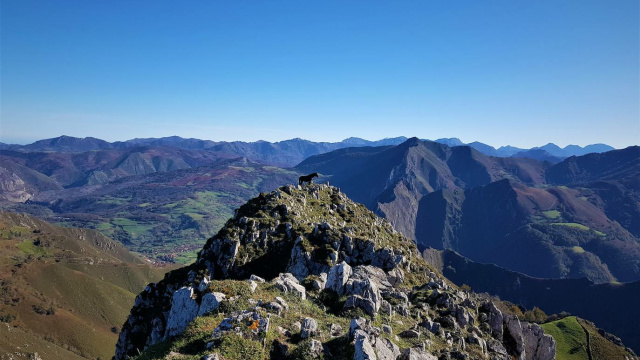 Picu Cogollu (1222 m)
