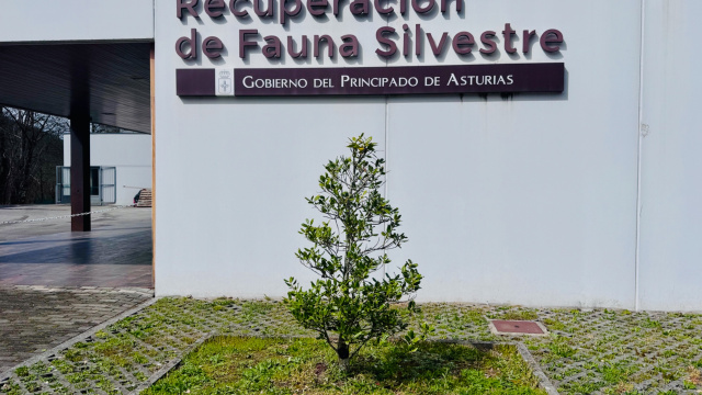 Centro de Recuperación de la Fauna Silvestre de Asturias