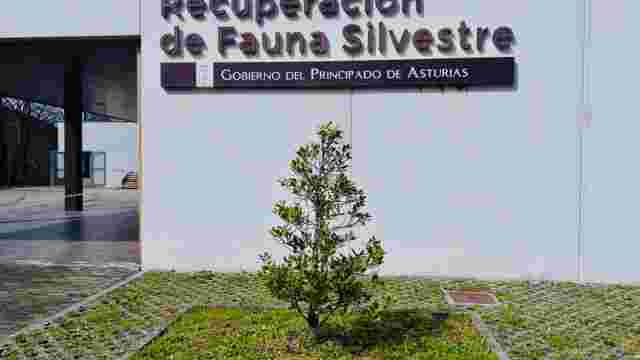 Centro de Recuperación de la Fauna Silvestre de Asturias