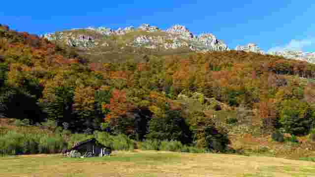 Vega Pociellu