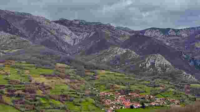 Orlé