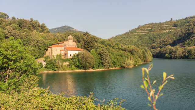 Colegiata de Santa María la Real de Tanes