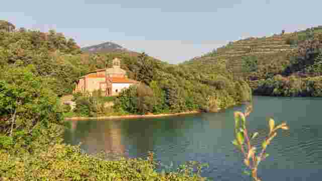Colegiata de Santa María la Real de Tanes