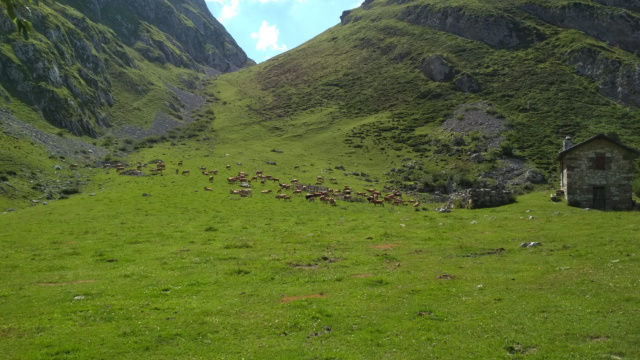 Majada de Valdebezón