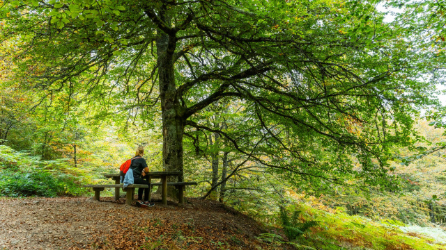 El Valle del Nalón en 2 días