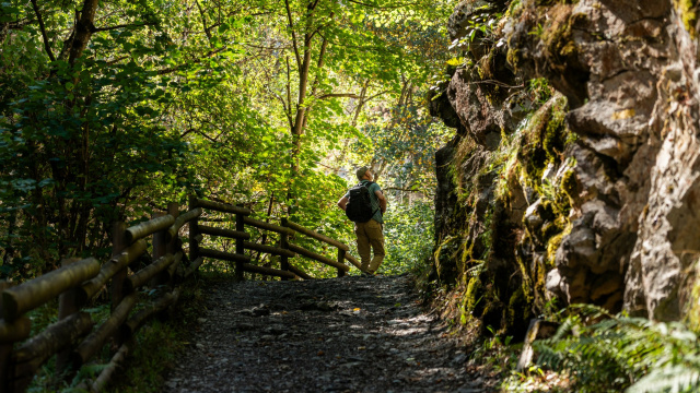 Camina por el Valle del Nalón