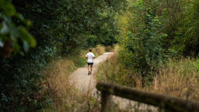 Paseos, sendas fluviales y rutas fáciles