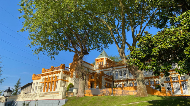 Casa de Dirección de Duro Felguera - Palacio de Las Nieves